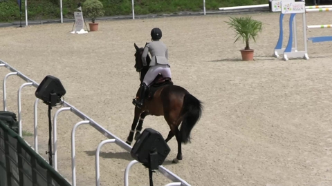 Image Julien Épaillard et Donatello d'Auge