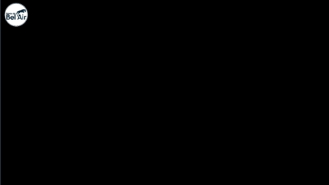 Image Julien Épaillard et Donatello d'Auge