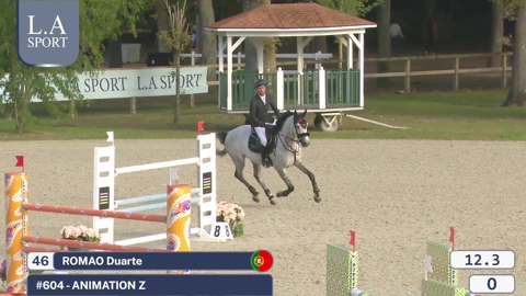 Image Julien Épaillard et Donatello d'Auge