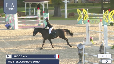 Image Julien Épaillard et Donatello d'Auge