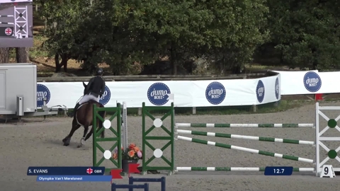 Image Julien Épaillard et Donatello d'Auge