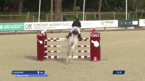 Image Julien Épaillard et Donatello d'Auge