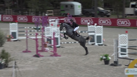 Image Julien Épaillard et Donatello d'Auge