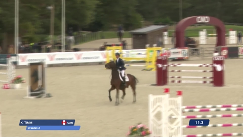 Image Julien Épaillard et Donatello d'Auge