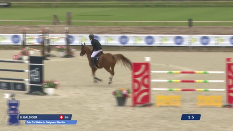 Image Julien Épaillard et Donatello d'Auge