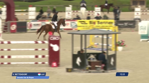 Image Julien Épaillard et Donatello d'Auge