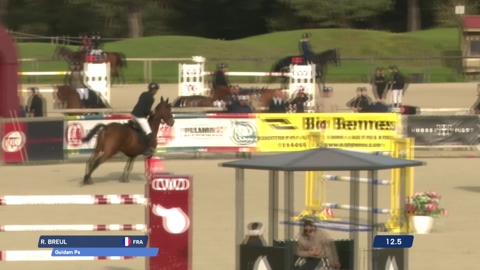 Image Julien Épaillard et Donatello d'Auge