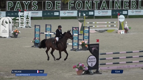 Image Julien Épaillard et Donatello d'Auge