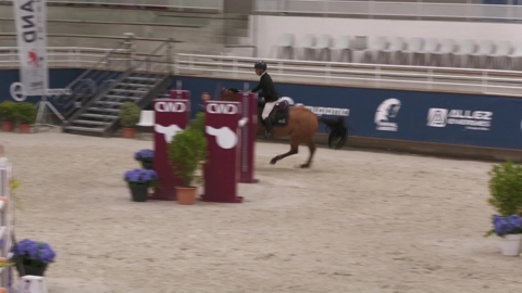 Image Julien Épaillard et Donatello d'Auge