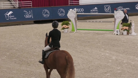 Image Julien Épaillard et Donatello d'Auge