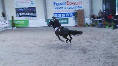 Image Julien Épaillard et Donatello d'Auge