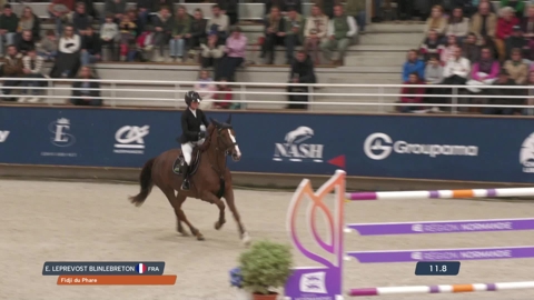 Image Julien Épaillard et Donatello d'Auge