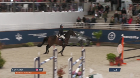 Image Julien Épaillard et Donatello d'Auge