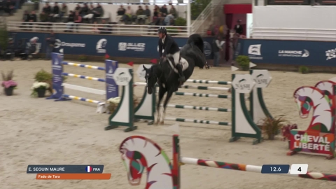 Image Julien Épaillard et Donatello d'Auge