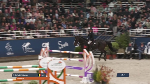 Image Julien Épaillard et Donatello d'Auge