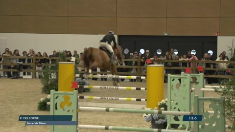 Image Julien Épaillard et Donatello d'Auge