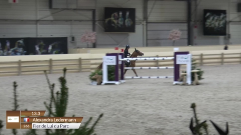 Image Julien Épaillard et Donatello d'Auge