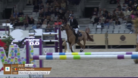 Image Julien Épaillard et Donatello d'Auge