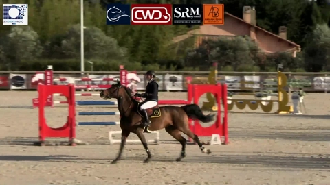 Image Julien Épaillard et Donatello d'Auge