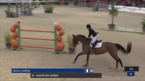 Image Julien Épaillard et Donatello d'Auge