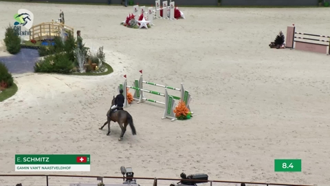 Image Julien Épaillard et Donatello d'Auge