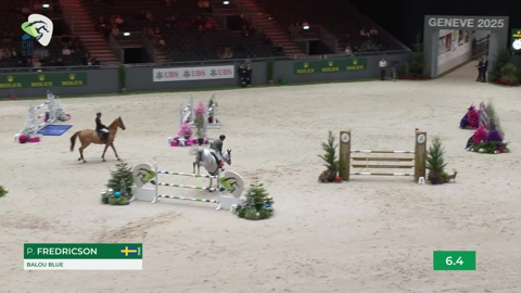 Image Julien Épaillard et Donatello d'Auge