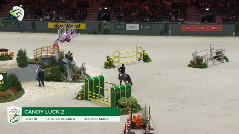 Image Julien Épaillard et Donatello d'Auge