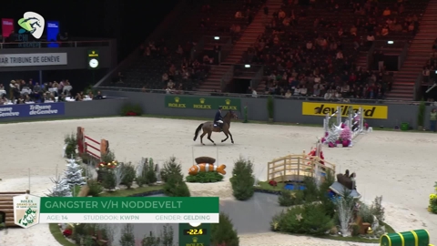 Image Julien Épaillard et Donatello d'Auge