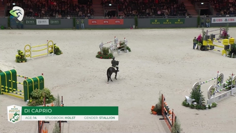 Image Julien Épaillard et Donatello d'Auge