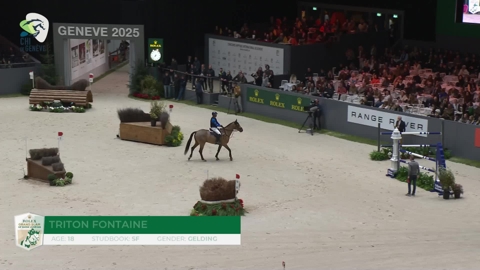 Image Julien Épaillard et Donatello d'Auge