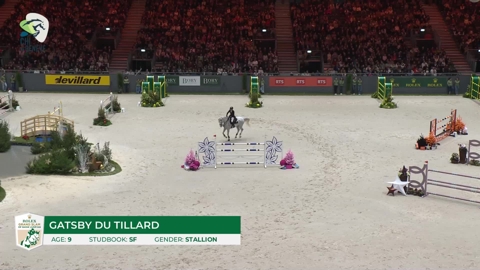 Image Julien Épaillard et Donatello d'Auge