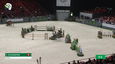 Image Julien Épaillard et Donatello d'Auge