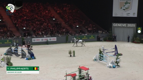 Image Julien Épaillard et Donatello d'Auge