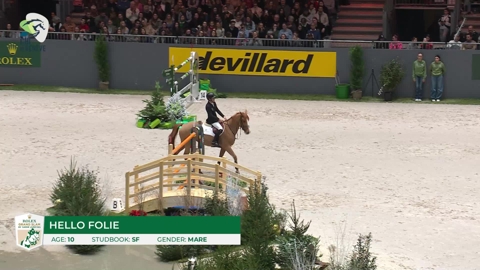 Image Julien Épaillard et Donatello d'Auge