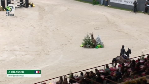 Image Julien Épaillard et Donatello d'Auge