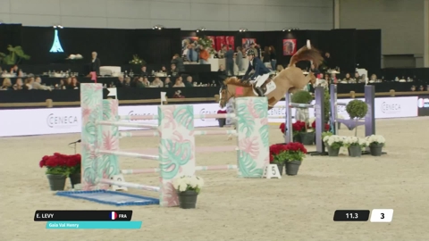 Image Julien Épaillard et Donatello d'Auge