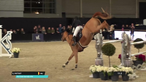 Image Julien Épaillard et Donatello d'Auge