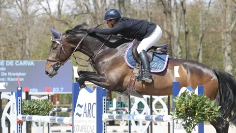 Image Julien Épaillard et Donatello d'Auge