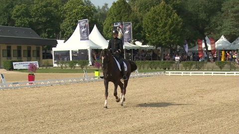 Image Julien Épaillard et Donatello d'Auge