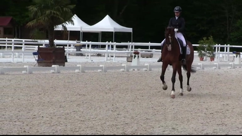 Image Julien Épaillard et Donatello d'Auge