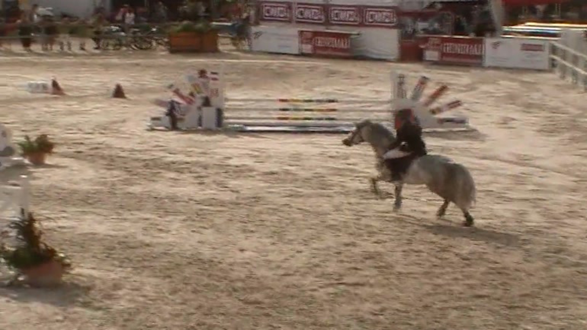 GRANDPRIX TV - Lamotte Beuvron Open de France 2011 Poneys - CL2D_Jun2_1 2D  Junior2 1 - STENTOR PONDI - ALEXANDRA BEURET