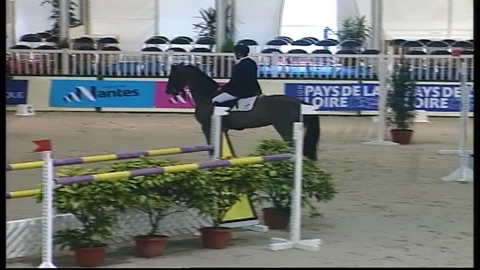 Image Julien Épaillard et Donatello d'Auge