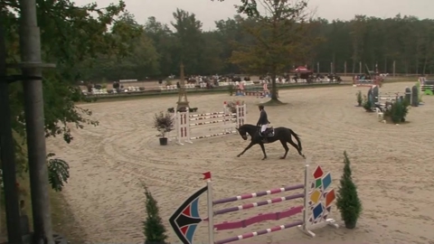 Image Julien Épaillard et Donatello d'Auge